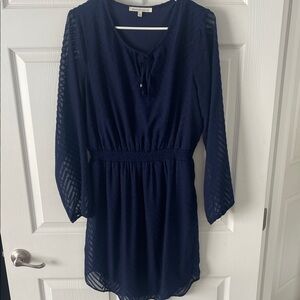 Navy Blue Sheer Long Sleeve Dress